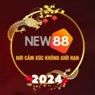 New88b Top – Tặng 100% bảo hiểm cược thua tại Thể Thao
